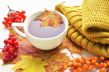 bir fincan çay ile deniz topalak ve kartopu