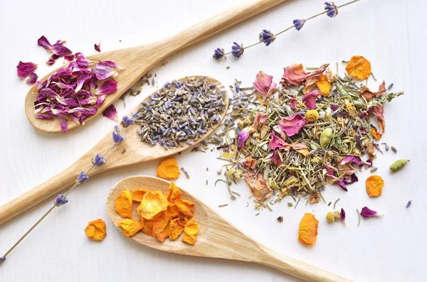 Herbal tea ingredients — Stock Photo, Image