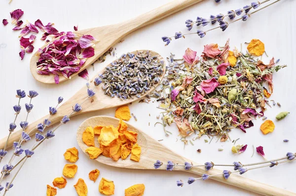 Herbal tea ingredients — Stock Photo, Image