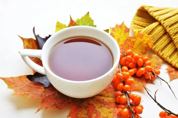 a cup of tea with sea-buckthorn berries