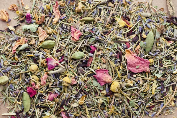 Dry herbal tea — Stock Photo, Image