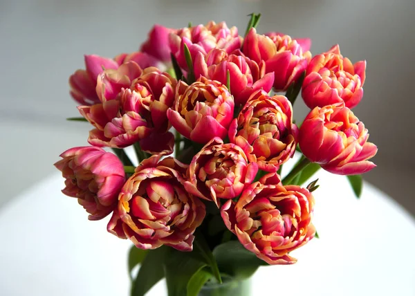 Pink spring tulip flowers bouquet in vase. Top view. — Stock Photo, Image
