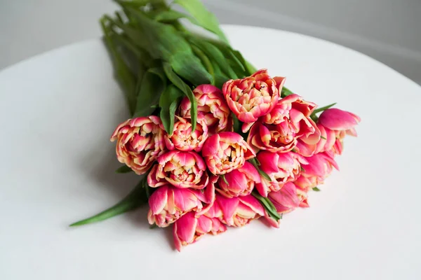 Flores de primavera. Tulipanes rosados sobre fondo blanco — Foto de Stock