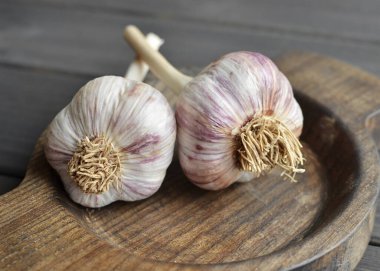 Dried garlic heads in wooden plate on old dark wooden background