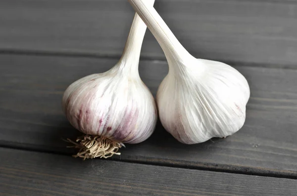 Dried heads of organic garlic over wooden table background — Stock Photo, Image