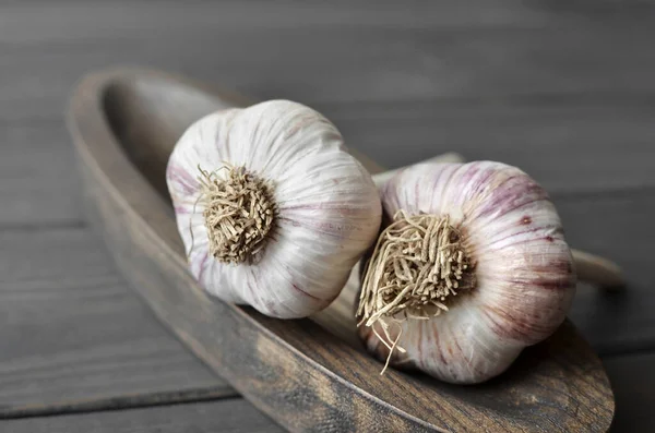 Dry fresh organic garlic bulbs on wooden plate over dark wooden background — Stock Photo, Image