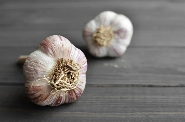 Dry fresh heads of organic garlic on dark wooden background — Stock Photo, Image