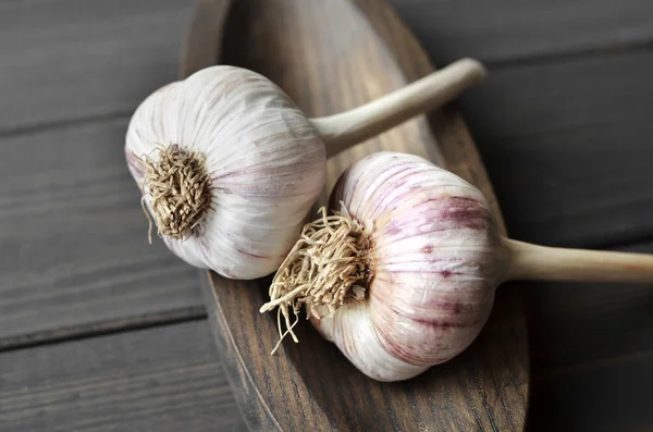 Dry fresh heads of organic garlic on wooden plate over dark wooden background — Stock Photo, Image