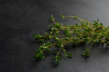 Koyu arkaplanda taze yeşil kekik sürüsü. Seçici odak.