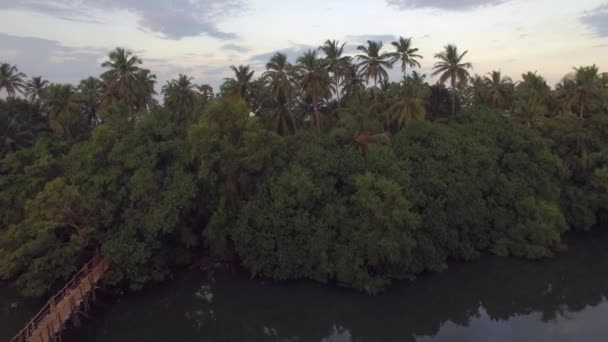 Luftaufnahme eines Hauses an der Küste, Goa, Indien, Winter 2016. — Stockvideo