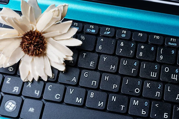 Flower on the computer keyboard.