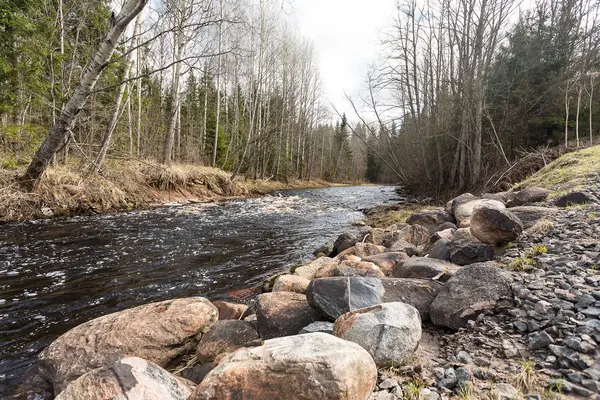 Fiume Veloce Nella Foresta Alberi Rocce Sulla Riva Ponte Dall — Foto Stock