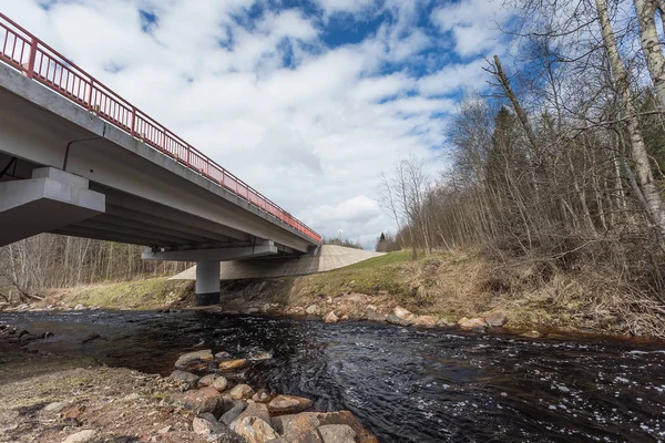 Fiume Veloce Nella Foresta Alberi Rocce Sulla Riva Ponte Dall — Foto Stock