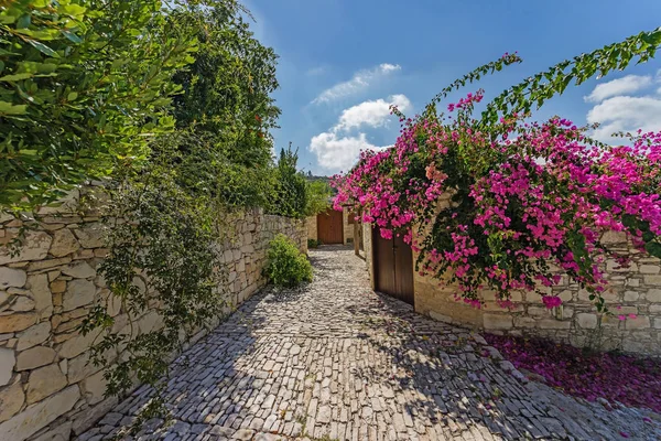 Lania Vesnice Kypru Úzké Ulice Tradiční Stavby Slavná Vesnice Kreativních — Stock fotografie