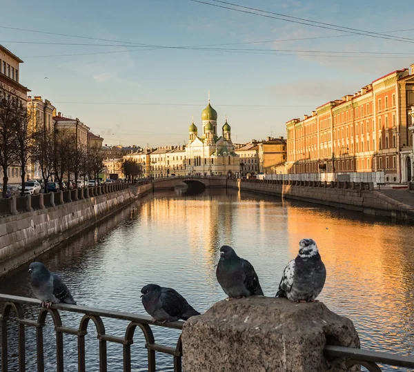 Griboyedov Kanalı 'ndaki St. Isidore Yurievsky Kilisesi. Rusya, St. Petersburg.