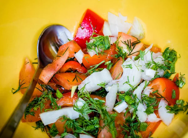 Garnish Tomatoes Onion Slices Vegetable Salad Dish — Stockfoto