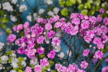 Farklı çiçeklerden güzel bir buket.