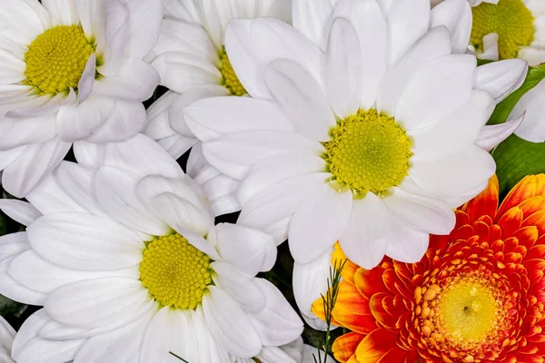 Gyönyörű Csokor Különböző Virágokból — Stock Fotó