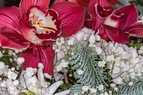 Gyönyörű Csokor Különböző Virágokból — Stock Fotó
