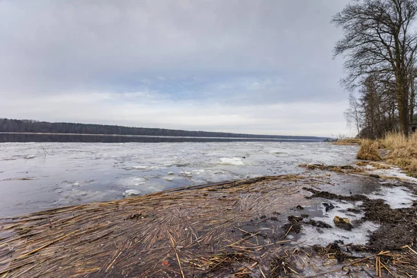 Costa Del Fiume Neva Vicino Alla Città Kirovsk Oblast Leningrado — Foto Stock