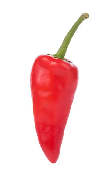 Red chili peppers on white background — Stock Photo, Image