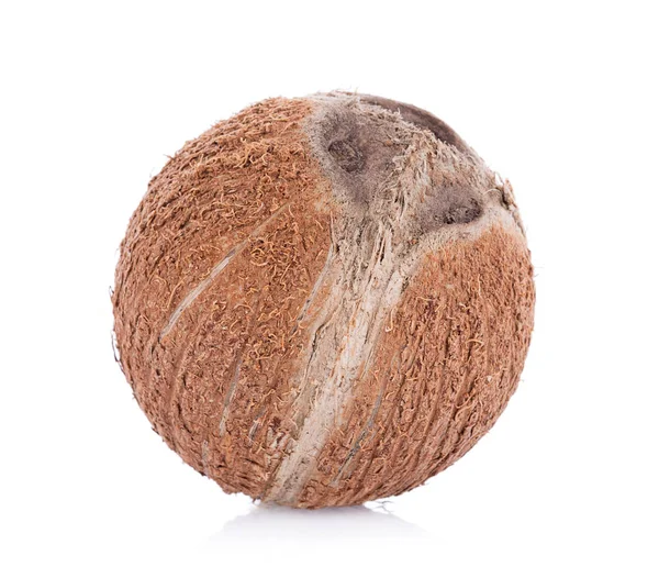 Coconut on a white background — Stock Photo, Image