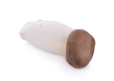 Beyaz arka planda Kral istiridye mantarı Pleurotus eryngii