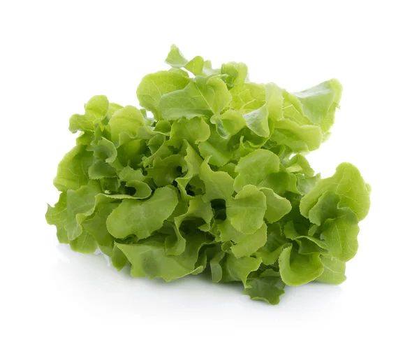 Green oak lettuce isolated on white background — Stock Photo, Image