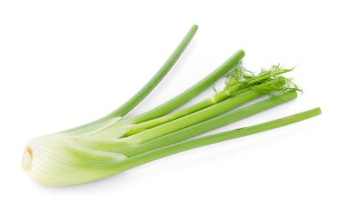 Beyaz arka plan üzerinde izole portre taze rezene ampul