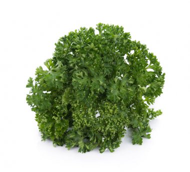 Maydanoz beyaz bir arkaplanda izole