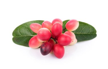 Beyaz arkaplanda Carunda veya Karonda