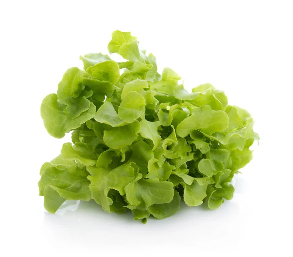 Green oak lettuce isolated on white background — Stock Photo, Image