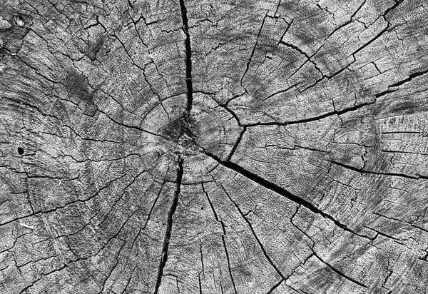 ahşap arkaplan dokusu