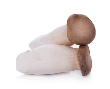 Beyaz arka planda Kral istiridye mantarı Pleurotus eryngii