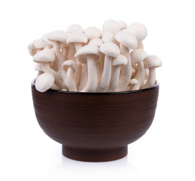 izole üzerinde beyaz arka plan beyaz shimeji mantar