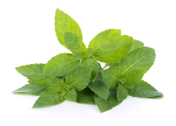 Peppermint on white background — Stock Photo, Image