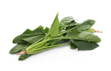 Beyaz arkaplanda taze ıspanak