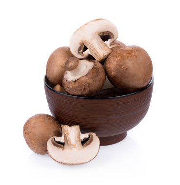 Mantar şampiyonu beyaz arkaplanda izole edildi