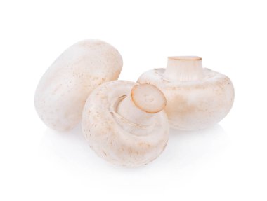 Mantar şampiyonu beyaz arkaplanda izole edildi