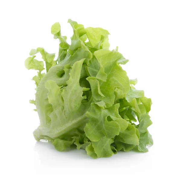 Green oak lettuce isolated on white background — Stock Photo, Image