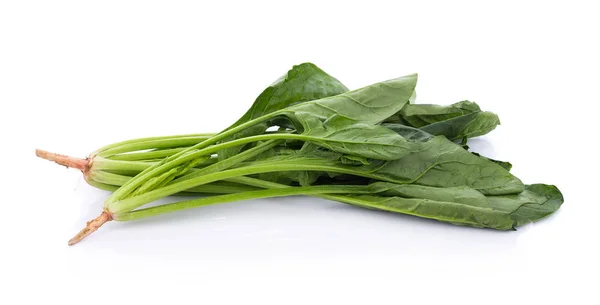 Espinacas frescas sobre fondo blanco — Foto de Stock