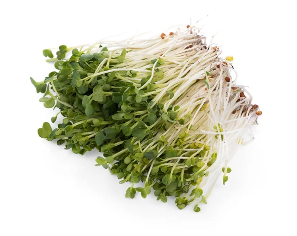 Kaiware sprout, japanese vegetable or watercress on white backgr — Stock Photo, Image