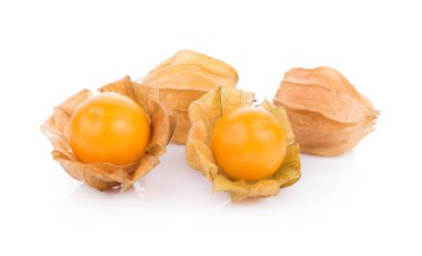 beyaz zemin üzerine Cape bektaşi üzümü. Physalis