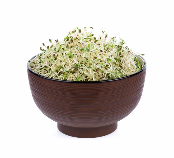 Heap of alfalfa sprouts on white background — Stock Photo, Image