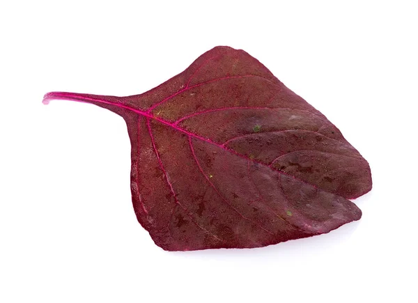 Red spinach isolated on white background — Stock Photo, Image