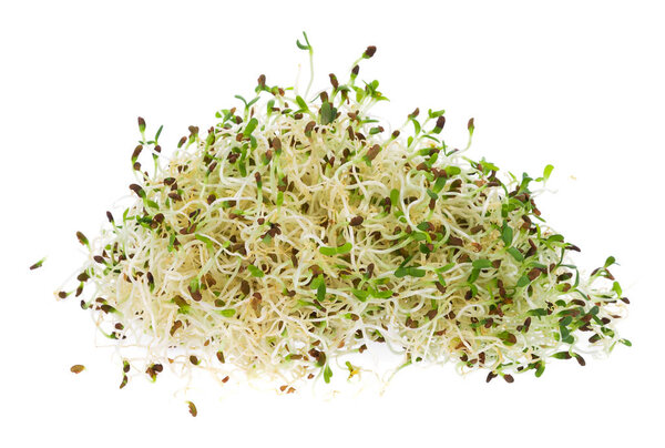 куча люцерны на белом фоне