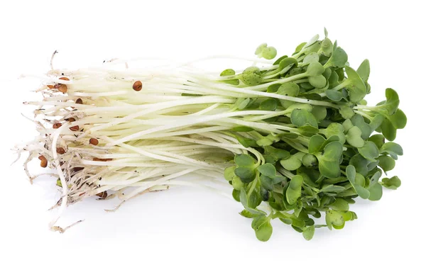 Kaiware sprout, japanese vegetable or watercress on white backgr — Stock Photo, Image