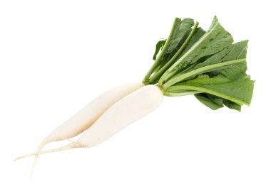 Beyaz arkaplanda izole edilmiş taze beyaz turp