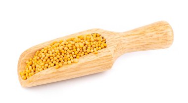 Beyaz arka planda izole edilmiş kaşıkta hardal tohumları