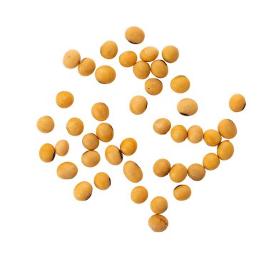 soya fasulyesi beyaz zemin üzerine